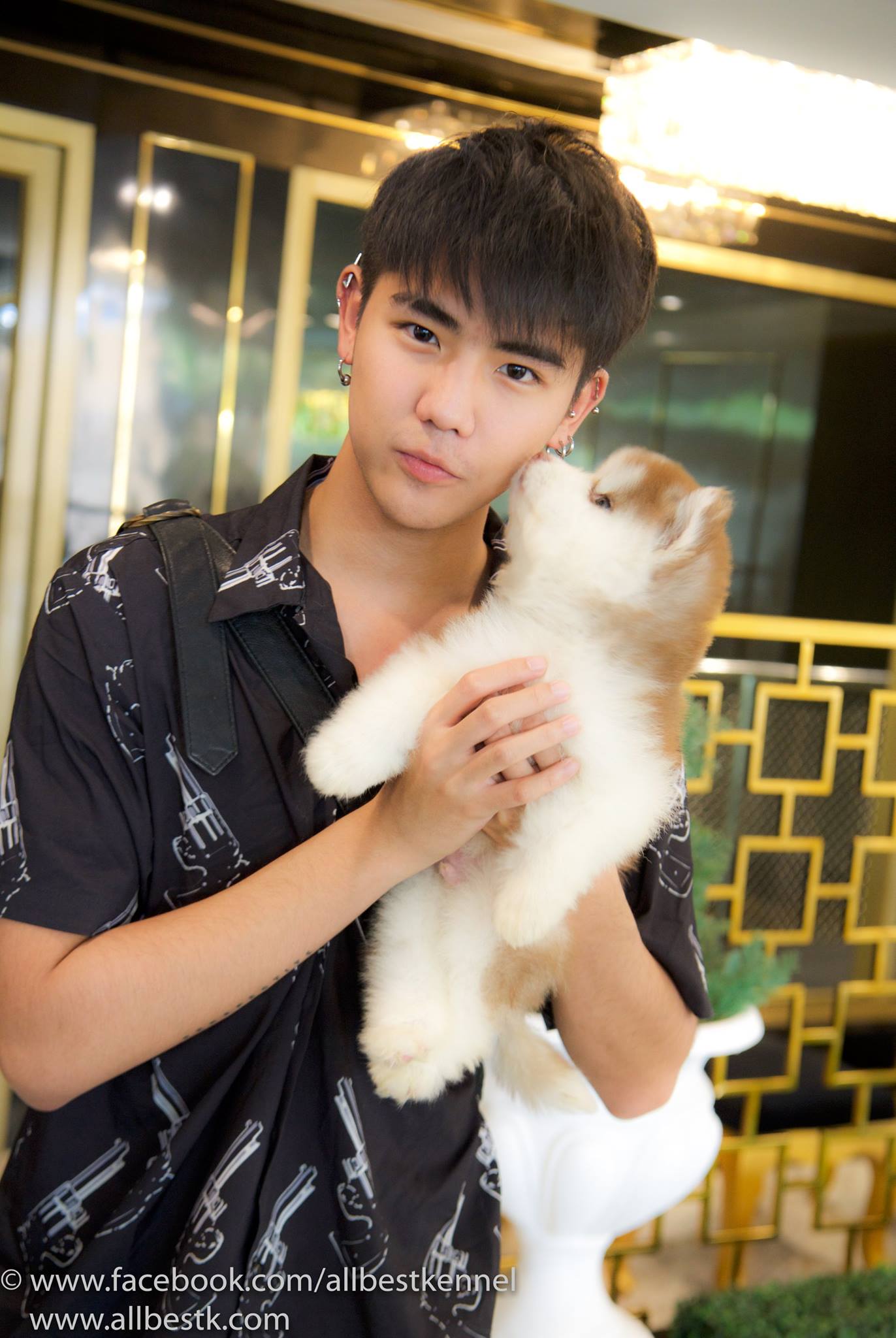 หยุดเสี่ยงซื้อไซบีเรียนไม่มีคุณภาพ Allbest kennel ฟาร์มไซบีเรียนที่ใหญ่ที่สุด