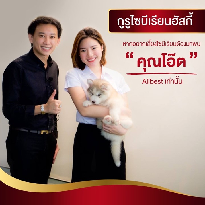 ศูนย์รวมไซบีเรียนฮัสกี้ เกรดคุณภาพที่ใหญ่ที่สุดในไทย  Allbest kennel