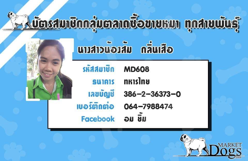 เปิดจอง เด็กน้อยชิวาว่า เด็กยังว่างๆยุนะค่ะ