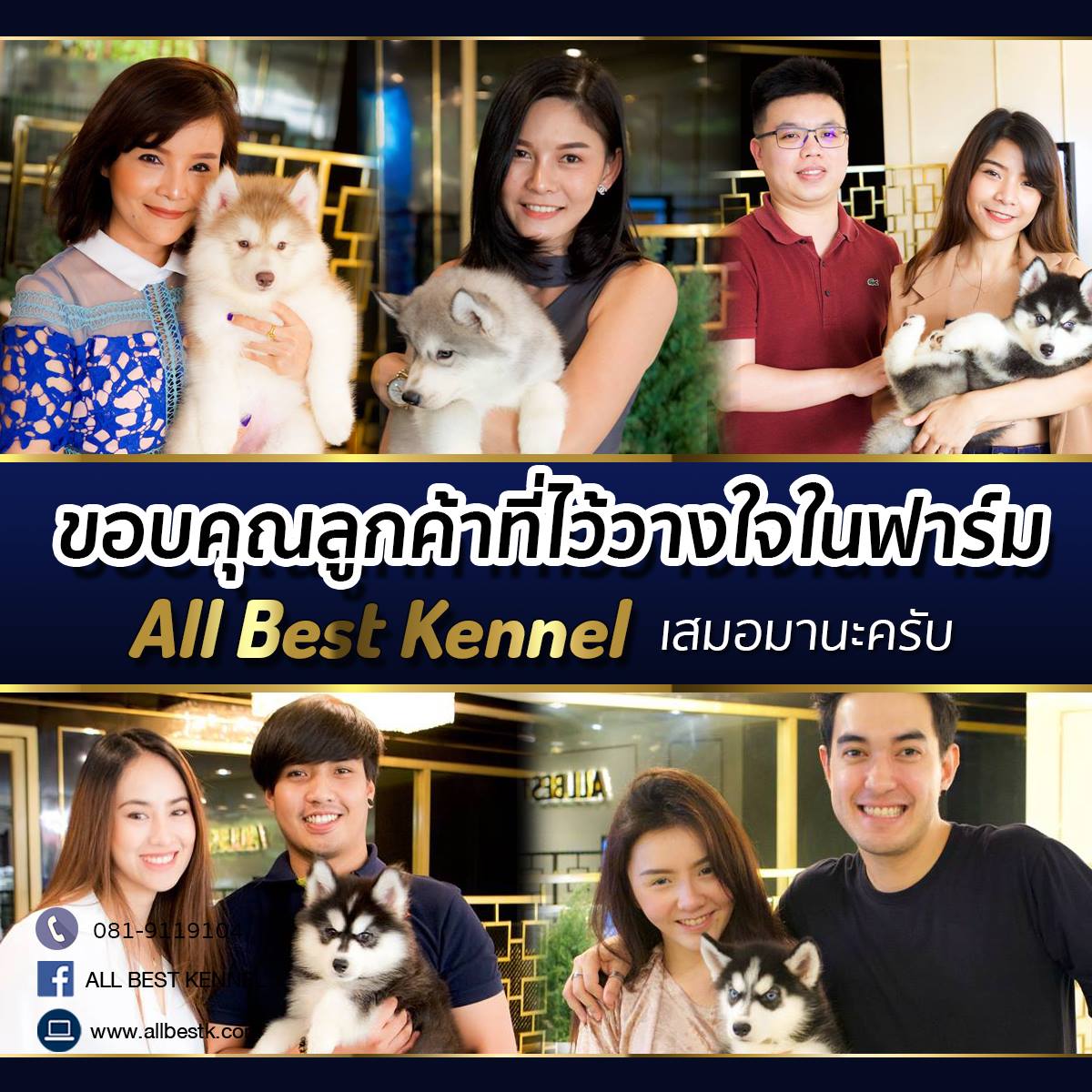 ฟาร์มขายไซบีเรียน เกรดดี allbestk.com บริการหลังการขายครบวงจร