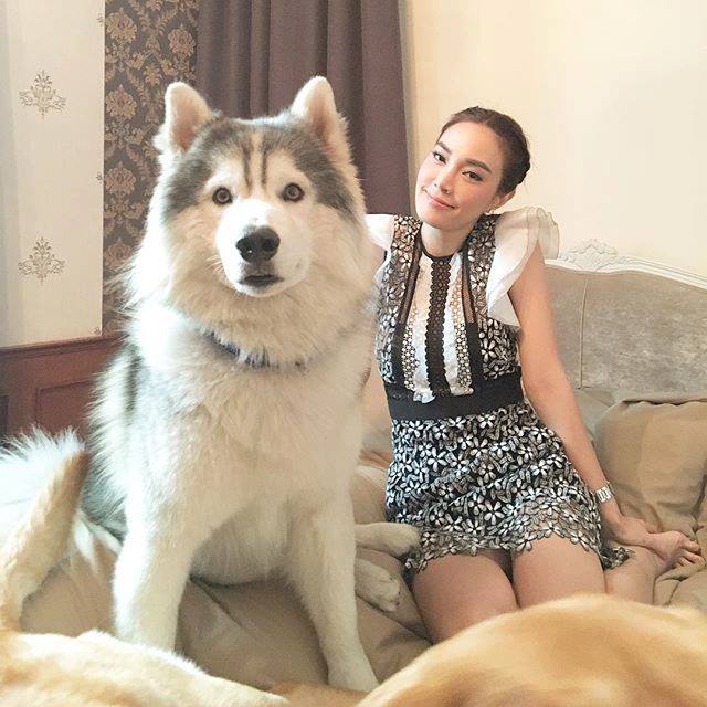 หากอยากได้ไซบีเรียน ที่เน้นคุณภาพเกรดHi-end ต้อง มาพบ คุณ โอ๊ต Allbest เท่านั้น