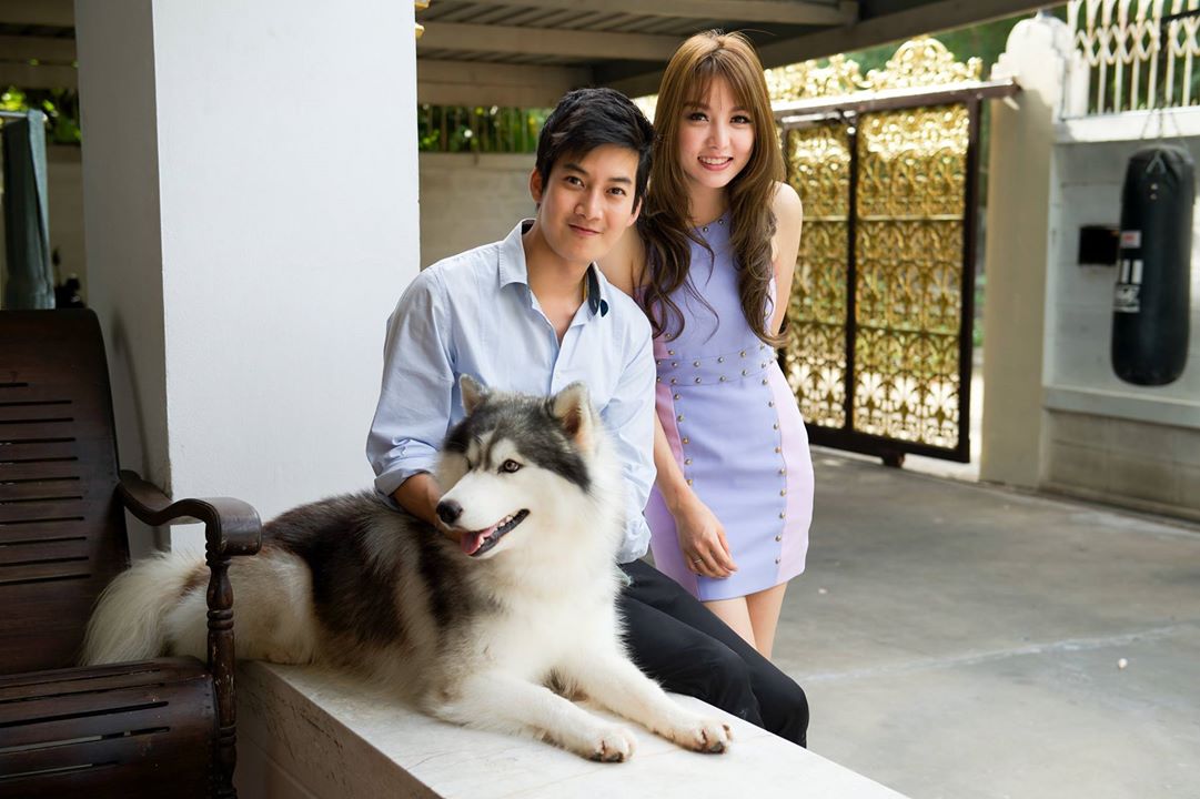 ขายไซบีเรียนฮัสกี้ เกรดดี มีทุกสีทุกแบบให้เลือก ที่ฟาร์มallbest เท่านั้น