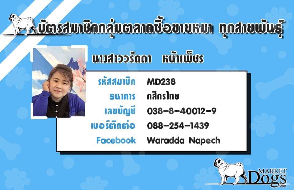 ตัวสุดท้ายของคอกนี้. เพศเมียตาอัลมอน พร้อมย้ายบ้านลงวัคซีน 1. เข็ม