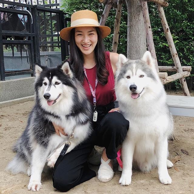 ฟาร์มไซบีเรียนอันดับ1 ในประเทศไทยAllbest kennel