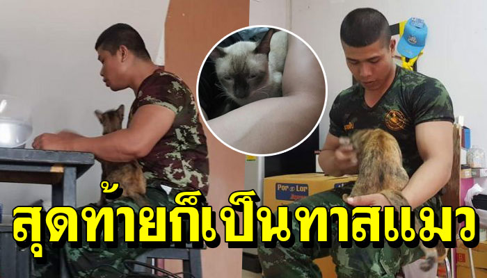 ทหารหนุ่มไม่ชอบแมว ต้องอยู่ร่วมบ้านกับ 3 แมวของแฟน สุดท้ายก็เป็นทาสแมวจนได้