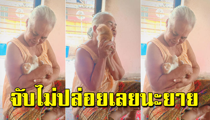ย่าบอกอย่าจับแมวนะมันสกปรก แต่พอลูกแมวตัวใหม่คลอด คุณย่าก็จับกอดจับหอมเฉย
