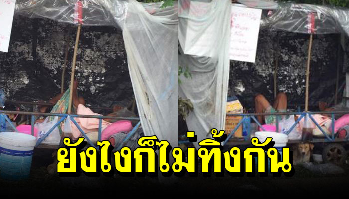 เจ้าตูบ คอยปกป้องคุณยายที่กำลังนอนป่วย ไม่เคยทิ้งห่างไปไหน