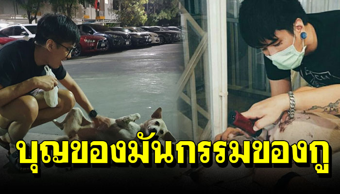 “จันตา” หมาเทวดาที่ใครก็หลงรัก หมาคอนโดกลายเป็นหมาบ้านเพราะหนุ่ม น้ำใจงาม