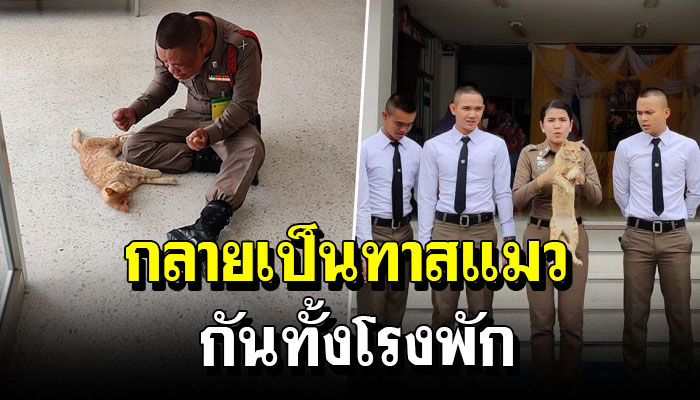 บักเผิ่ง แมวสีส้มบุกโรงพัก จนตำรวจทั้งโรงพัก กลายเป็นทาสแมวกันหมด (คลิป)