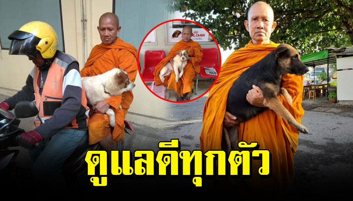 พระเลี้ยงหมาอย่างดี 11 ปี ยามป่วยเจ็บทำหมันหลวงพ่อพาไปส่งด้วยวินมอเตอร์ไซค์