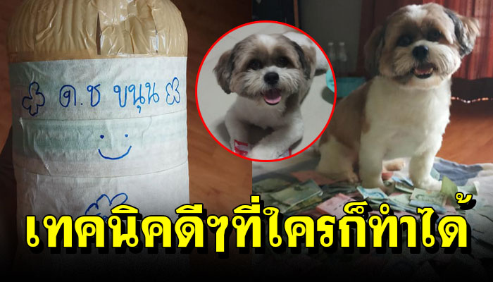 เทคนิคดีๆที่ใครก็ทำได้ ออมเงินให้น้องหมาสุดที่รัก