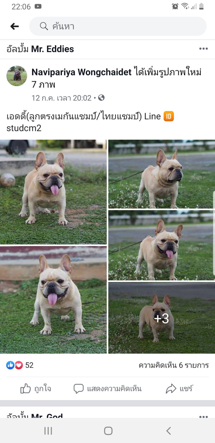 เฟรนช์ชี่
