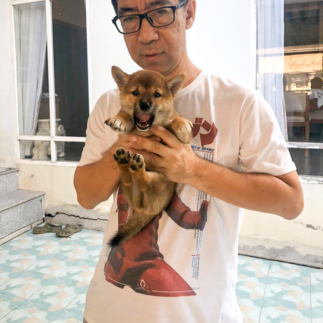 ขายลูกสุนัขพันธุ์ชิบะ (shiba sale) เหลือ2ตัวเท่านั้น!!
