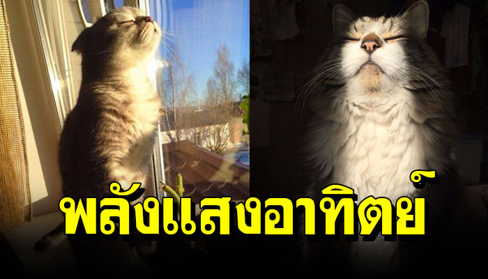หนาวแล้ว ของแสงอาทิตย์ หน่อยยยยย