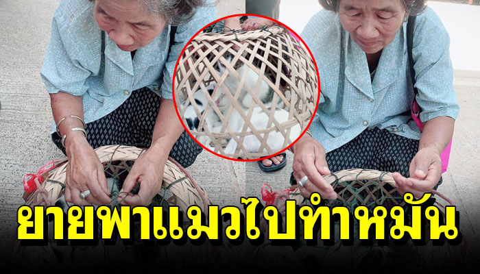 ยายลากรถเข็นเก่าพร้อมแล้ว 3 ตัว ไปทำหมันโดยที่ไม่รู้ว่าเขาจะทำให้ที่ไหน