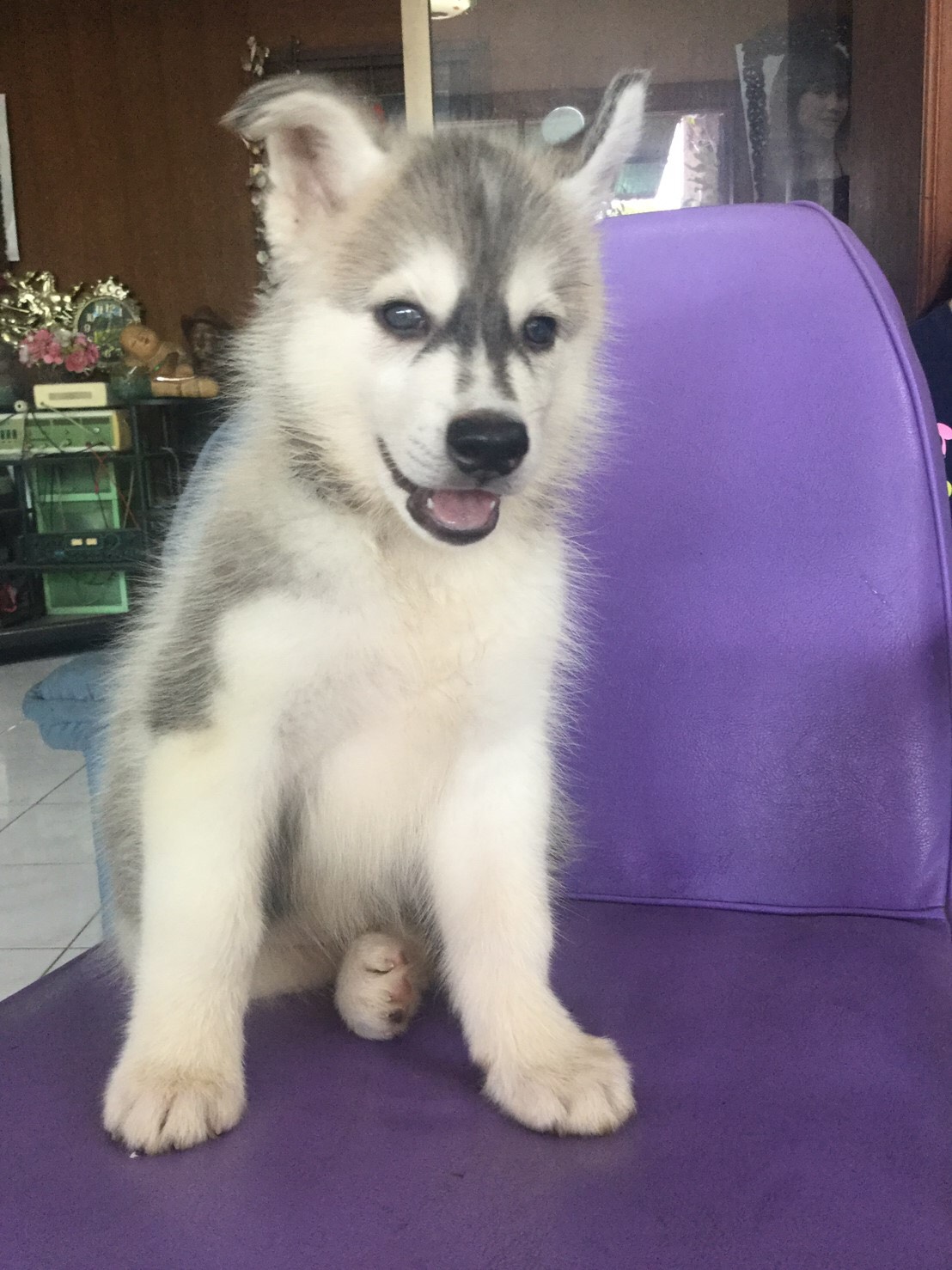 ขายค่ะ