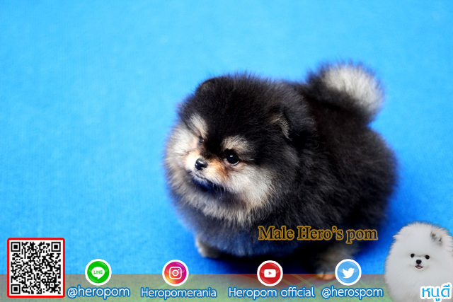 ใครชอบสีดำๆบ้างครับ 098-5566-777