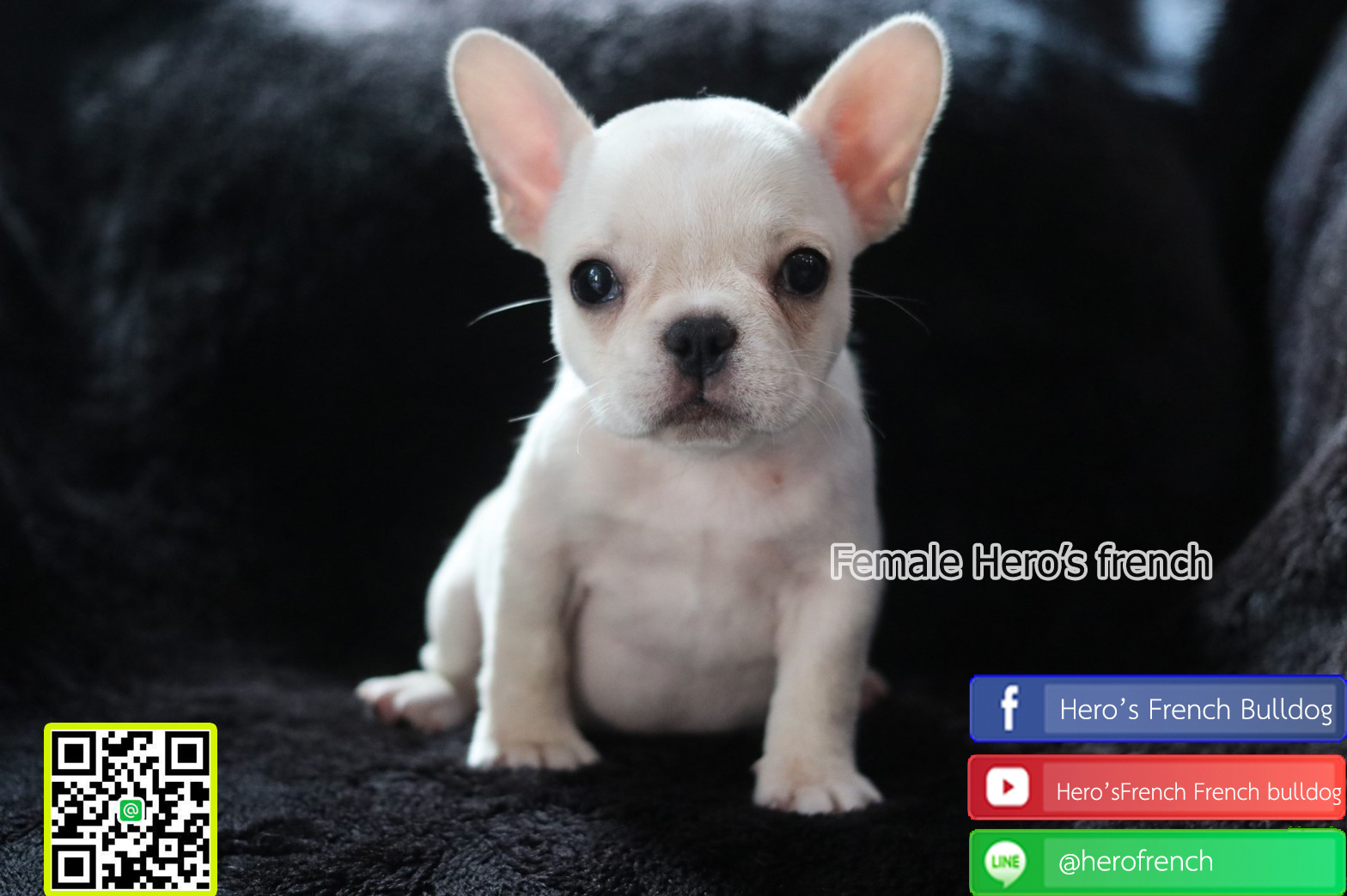 น้องๆมาใหม่