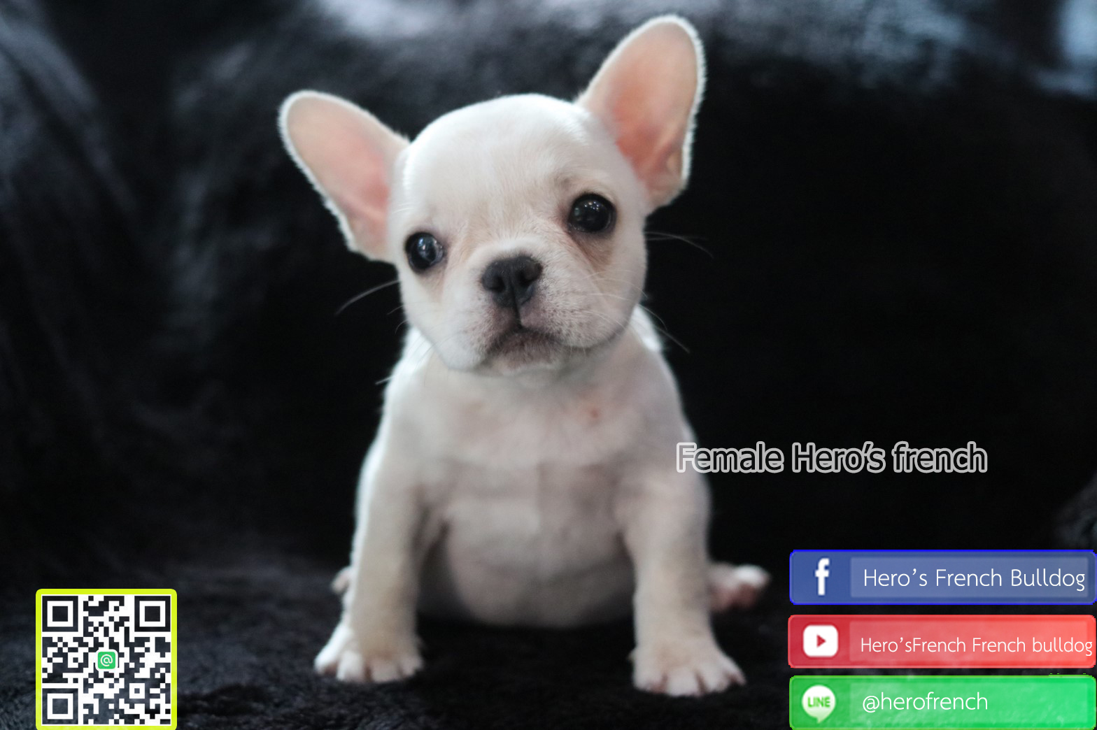 น้องรอบ้านใหม่