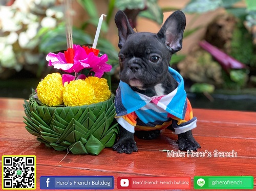 หนูน้อยน่ารัก