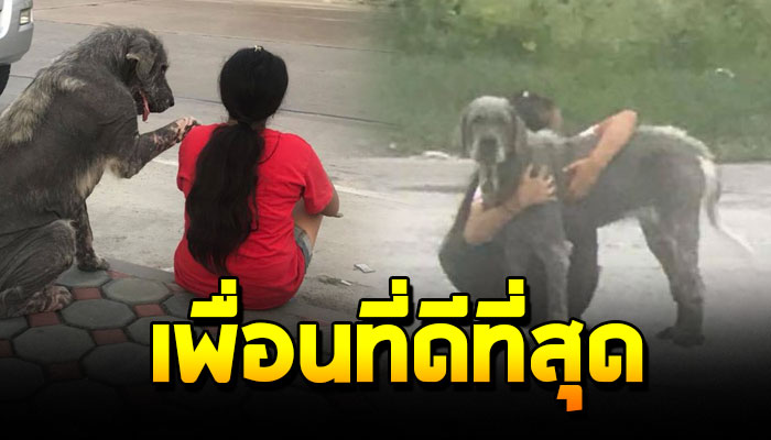 เด็กวัย 13 ถูกเพื่อนล้อว่าไม่ได้เรียนเพราะบ้านจน แต่มีเพื่อนคนเดียวเป็นหมา