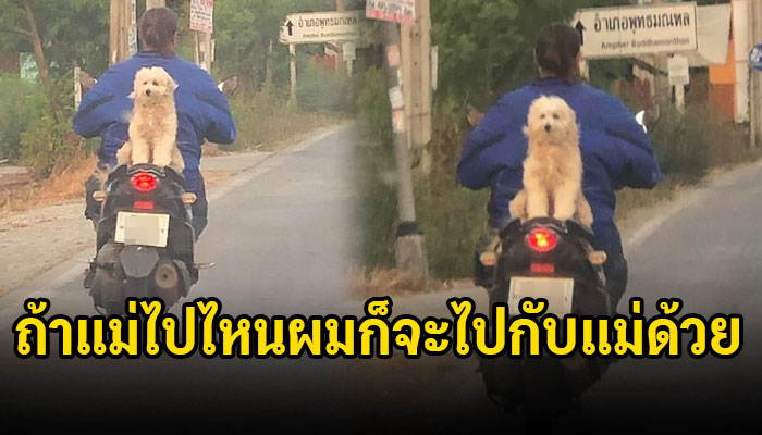 สาวพบตูบนั่งซ้อนท้ายคุณแม่ เกาะติดหลังด้วยความนิ่ง”ถ้าแม่ไปไหนผมก็จะไปกับแม่ด้วย