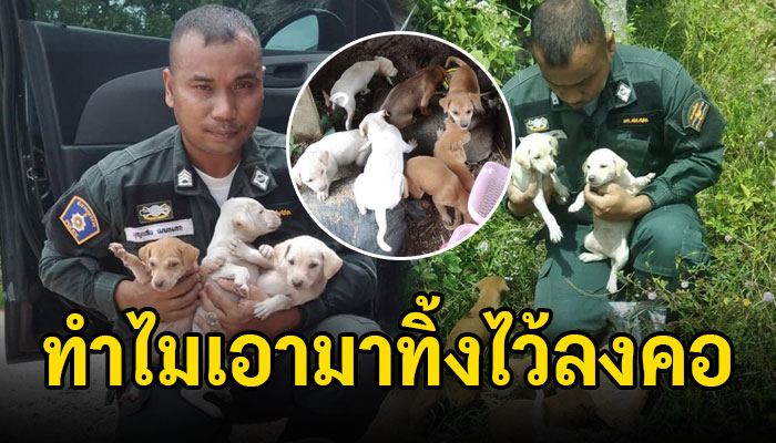 ทำได้แค่เกาะกลุ่มกันเอาไว้ หลังถูกนำมาทิ้งจับใส่ถุง นำมาทิ้งไว้ข้างทางติดกับป่า