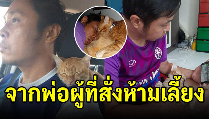 สาวโพสต์จากสามีผู้ที่เกลียดแมวสั่งห้ามเอามาเลี้ยงผลสุดท้ายจึงกลายเป็นทาสแมว