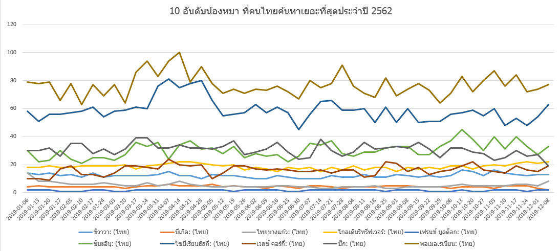 จัดอันดับ 10 สายพันธุ์น้องหมาที่คนสนใจมากที่สุดในปี 2019