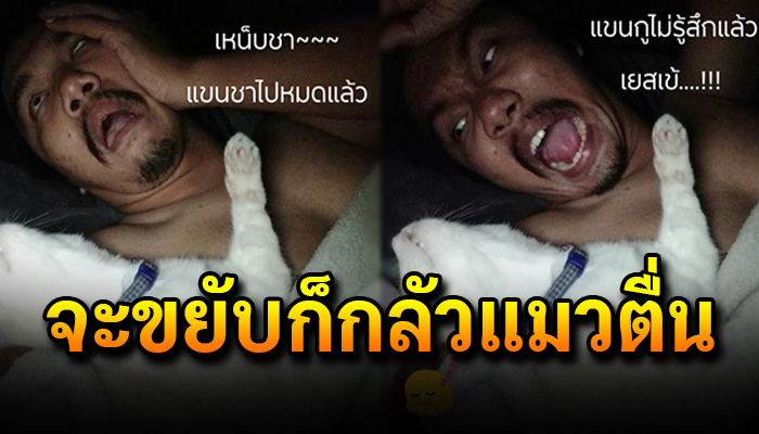 ทาสแมวต้องอดทนแม้ตอนตี 3 ถูกแมวทับแขนจนเป็นเหน็บจะขยับก็กลัวแมวตื่นนน
