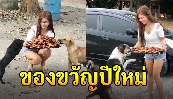 ปีใหม่นี้ไม่มีลืมกัน สาวขายล็อตเตอรี่ควักเงินจัดอาหารชุดใหญ่ให้กับหมา