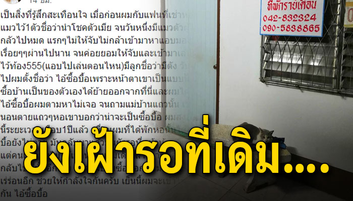 ย้ายออกไปซื้อบ้านตามหาไม่เจอนานร่วมปี คิดว่าสิ้นใจไปแล้วกลับมาอีกทียังคงเฝ้ารอ
