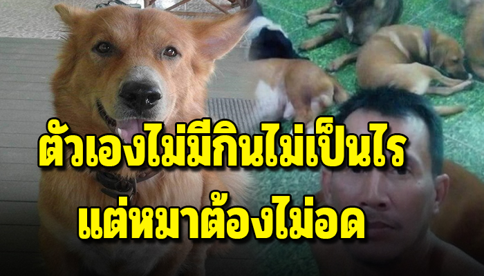 หนุ่มรักหมากับ20ชีวิตที่อยู่ข้างหลัง ยอมอดทนกินข้าววันละ50บาทเพื่อให้หมาได้อิ่ม
