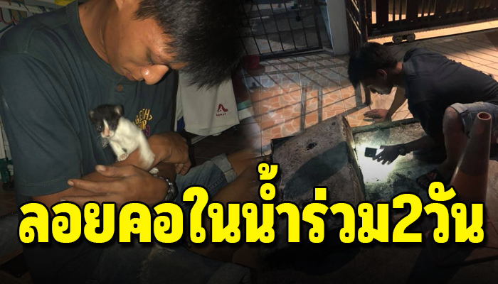ลอยคอในน้ำร่วม2วัน ทั้งแดดร้อนจ้าทั้งน้ำท่วมจนเหลือแค่คอ ร้องสุดเสียงรอคนช่วย