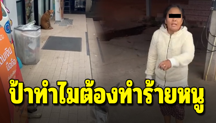 น้องได้แต่หลบอยู่ข้างหลังพนักงานหวังให้ช่วย หลังเจอมนุษย์ป้าไล่หมาหน้าเซเว่น