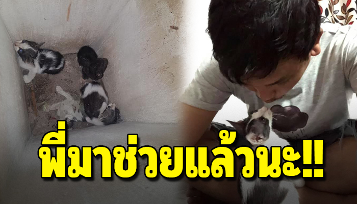 ร้องสุดเสียง ขอความช่วยเหลือ หลังต้องทนอยู่ในกระถางต้นไม้ที่ไม่มีทางออก