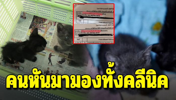 หนุ่มพาแมวจรที่ช่วยชีวิตไว้ไปหาหมอ พอหมอประกาศชื่อแมวคนกลับมองมาหาเขาทั้งคลีนิค