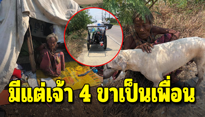 ยายตัวคนเดียวกับเพื่อน 4 ขา ไม่มีที่อยู่อาศัย อดทนสู้ร่วมชีวิตไปด้วยกัน