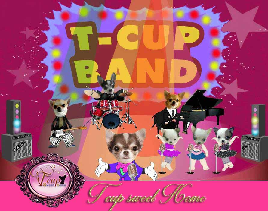ฟังเพลงนี้!!ชิวาวาทีคัพ(TcupSweetHome)