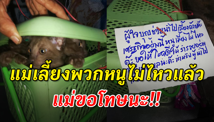 ถูกนำมาใส่ตระกร้า พร้อมเขียนข้อความลงในกระดาษตัดพ้อเลี้ยงต่อไม่ไหว