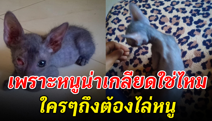ถูกเกลียดเพราะรูปลักษณ์เพียงภายนอก จนถูกบอกให้เอาไปปล่อยไว้วัดเหมือนปีศาจ
