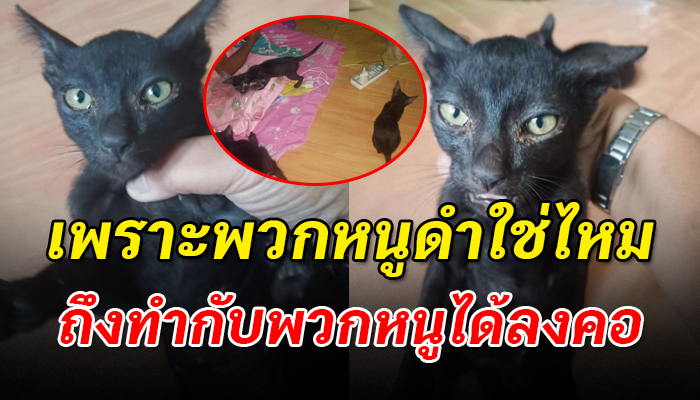ถูกใส่ตะกร้าสวมถุงใบใหญ่มัดปาก ไม่มีแม้อากาศหายใจ ทิ้งไว้กลางป่า