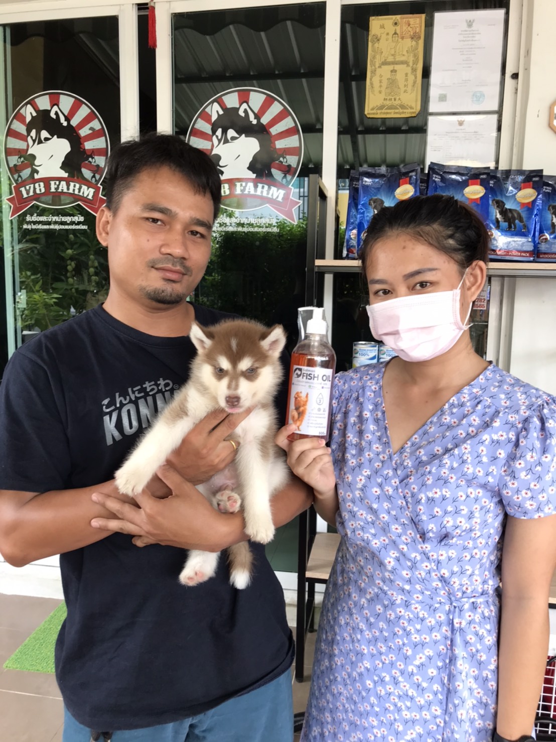 #ไซบีเรียนวู้ดลี่โค้ด 🐶