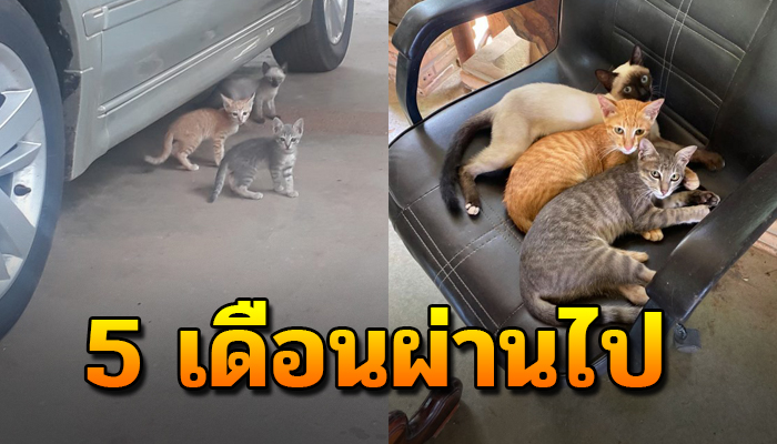 จาก 5 เดือนเสียไปเป็นแสนแขนไม่ได้จับ วันนี้ได้ครบครองใจเธอทั้ง 3 แล้ว