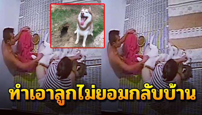 มาอีกแล้ว ภาพจากกล้องวงจรปิด โรงแรมฝากสุนัขที่คล้ายกับข่าวดังในตอนนี้