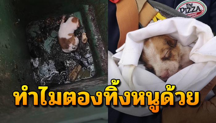 ร้องสุดเสียงขอให้ใครสักคนช่วย เพราะโดนทิ้งตั้งแต่ยังไม่ลืมตาดูโลก