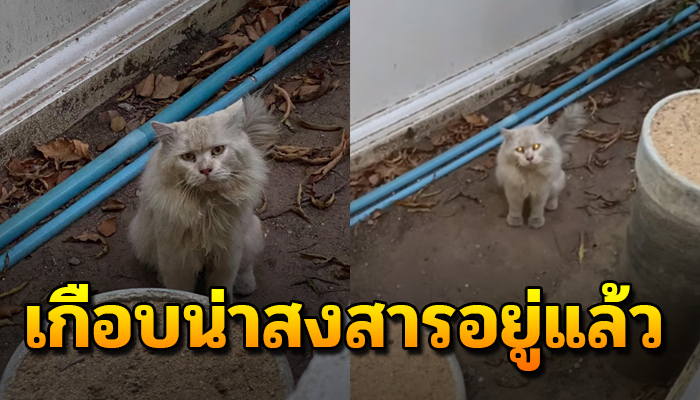แอบหนีออกจากบ้านมาเที่ยววัด เพราะรู้ว่าวัดสนุกนางก็ไม่ยอมกลับบ้านอีกเลยเป็นปีๆ