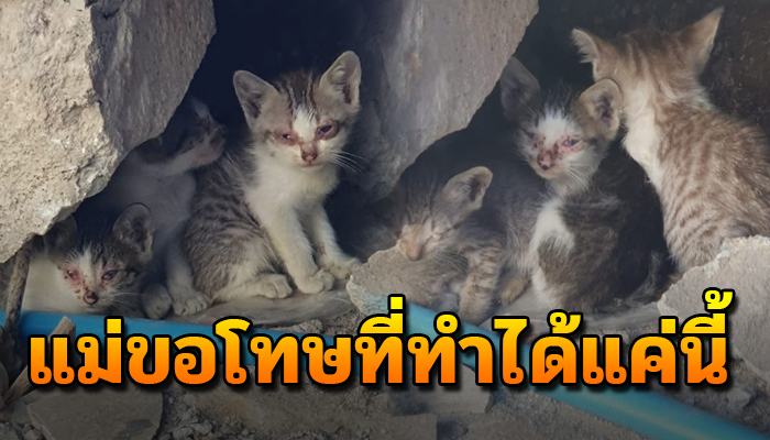 หอบลูกมาอาศัยใต้พังๆ ตัวลำพังเป็นจร แม่หาให้ลูกได้เพียงแค่นี้ แม่ขอโทษ