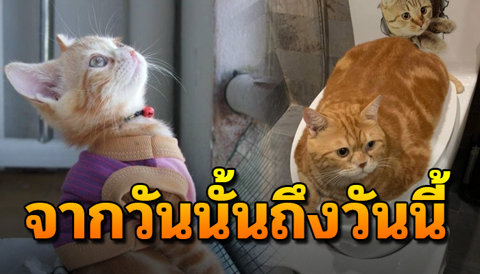ก่อนเอามาเลิ้ยงตัวเล็กนิดเดียว ทำไมตอนโตมาเปลี่ยนไปกลายเป็นโอ่ง
