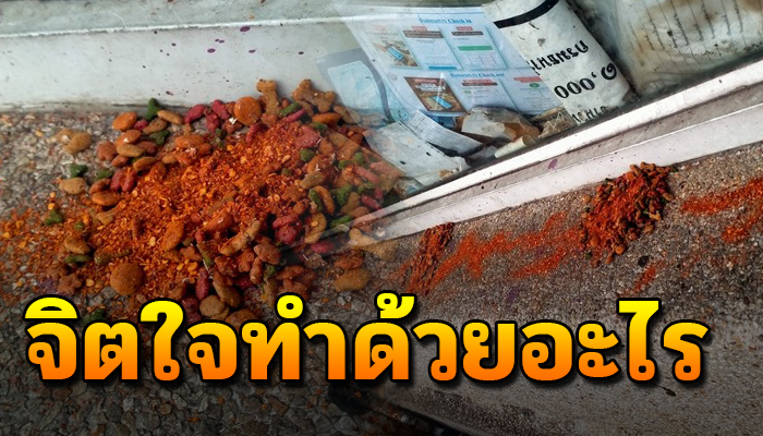 จิตใจทำด้วยอะไร เทอาหารแมวผสมพริกให้แมวกิน ไม่รักไม่เห็นต้องทำขนาดนี้